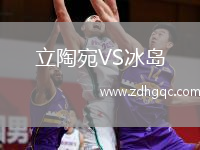立陶宛VS冰島