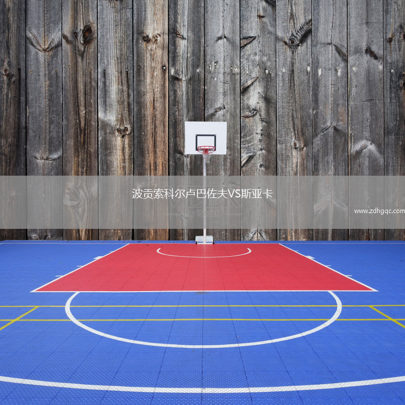 波貢索科爾盧巴佐夫VS斯亞卡