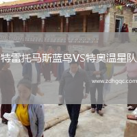 特雷托馬斯藍(lán)鳥VS特奧溫星隊(duì)