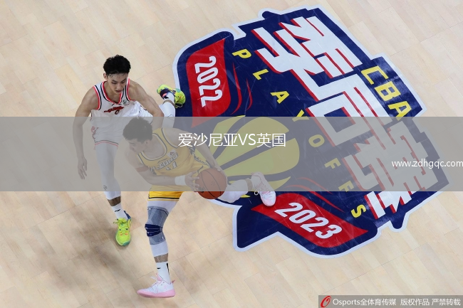 愛沙尼亞VS英國