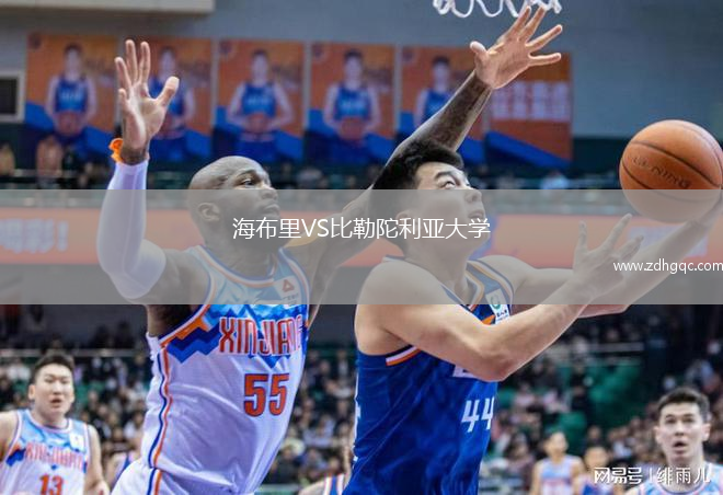 海布里VS比勒陀利亞大學(xué)