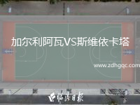 加爾利阿瓦VS斯維依卡塔