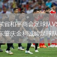 廣東省和平商會(huì)足球隊(duì)VS廣東肇慶金利誠(chéng)峻足球隊(duì)