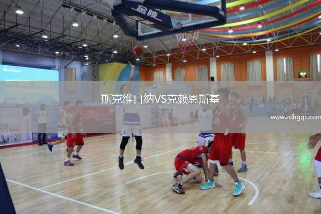 斯克維日納VS克賴恩斯基