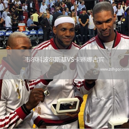 韋爾科波爾斯基VS卡琳娜古賓