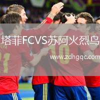 塔菲FCVS蘇阿火烈鳥