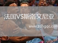 法國VS斯洛文尼亞