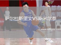薩爾杜斯里文VS斯米爾泰