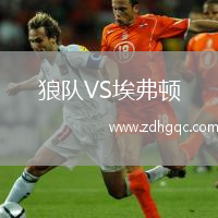 狼隊(duì)VS埃弗頓