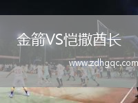 金箭VS愷撒酋長(zhǎng)