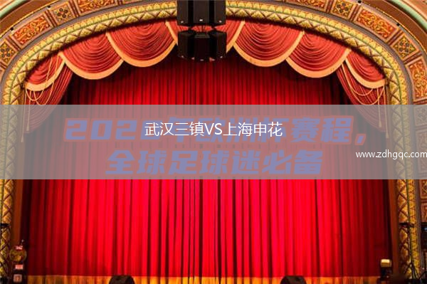 武漢三鎮(zhèn)VS上海申花
