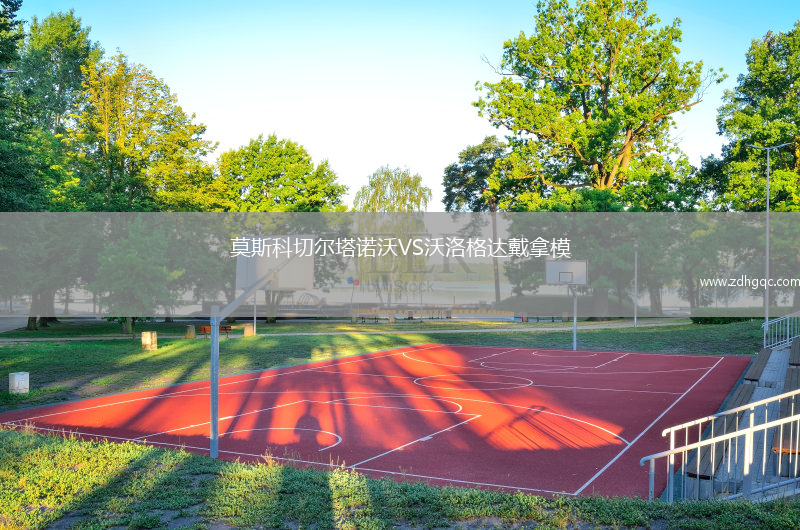 莫斯科切爾塔諾沃VS沃洛格達戴拿模