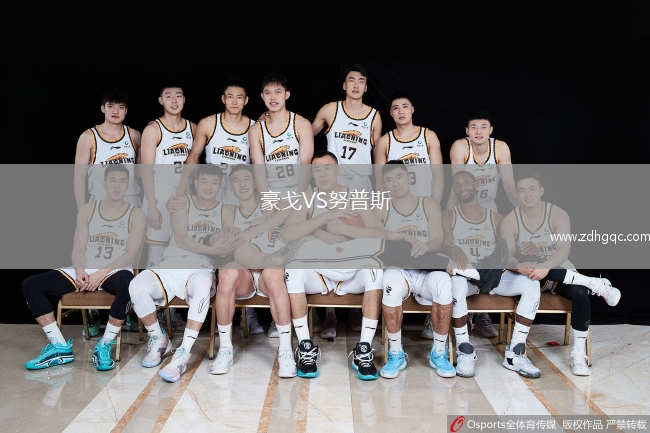豪戈VS努普斯
