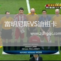 富明尼斯VS迪祖卡