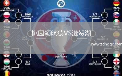 桃園領(lǐng)航猿VS滋賀湖