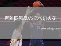 西雅圖風暴VS洛杉磯火花