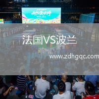 法國VS波蘭
