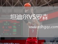 坦迪爾VS羅森