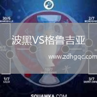 波黑VS格魯吉亞