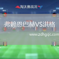 弗賴恩巴赫VS洪格