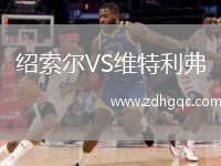 紹索爾VS維特利弗