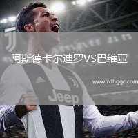 阿斯德卡爾迪羅VS巴維亞